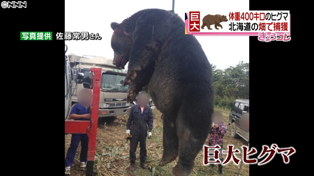 悲報 北海道民 ブチギレ 人を襲う熊を駆除すると非難してくる他県のやつら 俺たちに死ねっていうのか 札幌diary