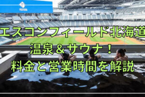 エスコンフィールド】Woltが球場内でデリバリー開始！注文方法や対象