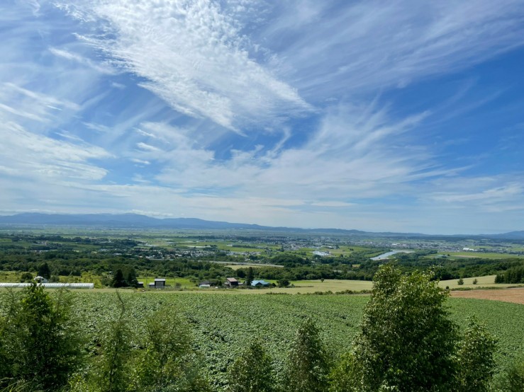 トトロ峠