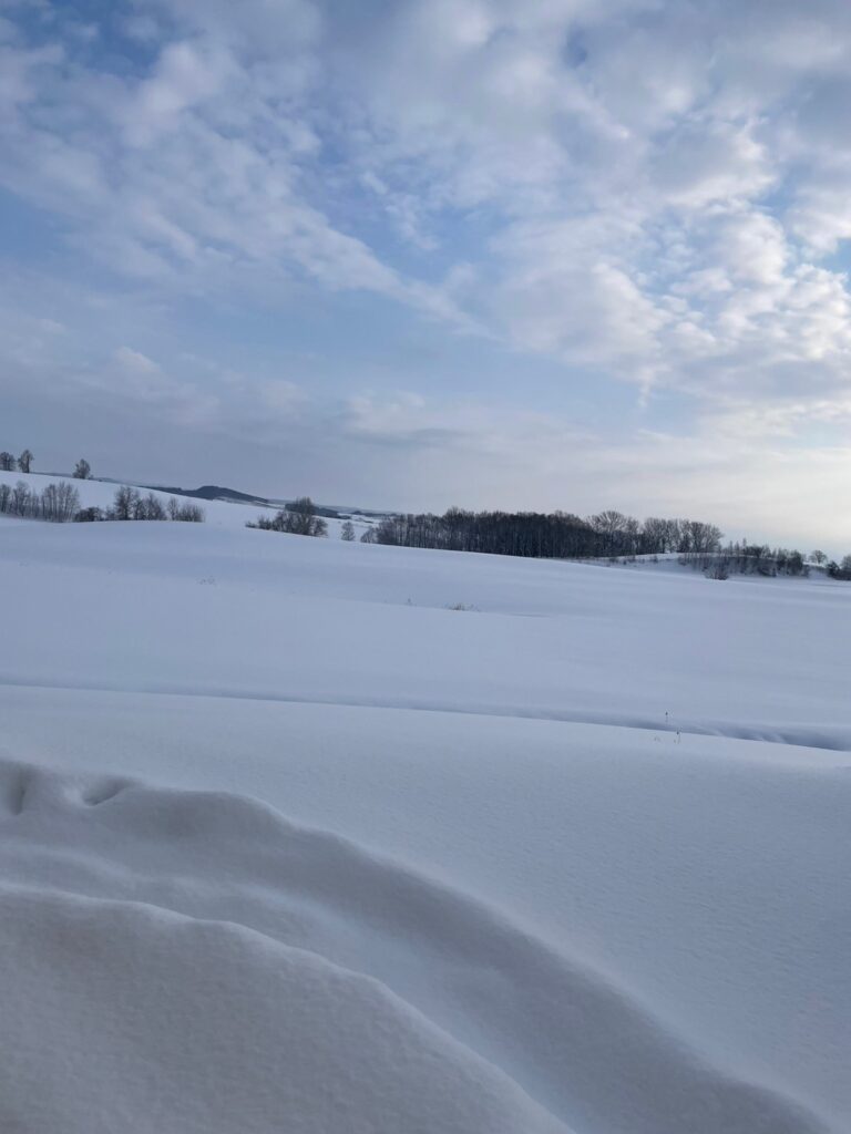 スプウン谷のザワザワ村